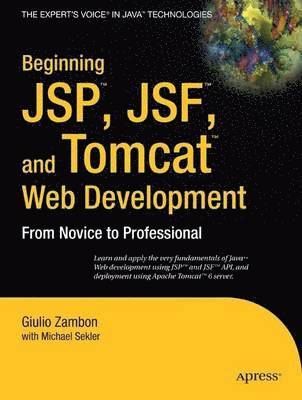 Beginning JSP, JSF & Tomcat Web Development: From Novice to Professional (hftad)
