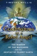 Confessions of a Rebel Angel (hftad)