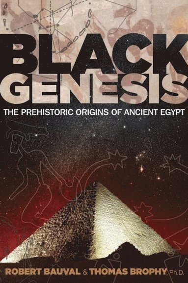 Black Genesis (e-bok)
