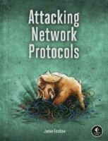 Attacking Network Protocols (hftad)
