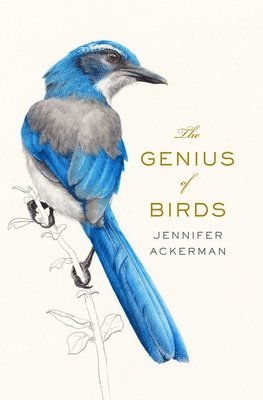 The Genius of Birds (inbunden)