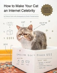 How to Make Your Cat an Internet Celebrity (hftad)