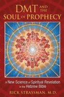 DMT and the Soul of Prophecy (häftad)