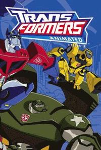 Transformers Animated (hftad)