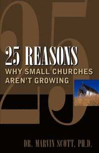 25 Reasons Why Small Churches Aren't Growing (häftad)