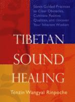 Tibetan Sound Healing (hftad)