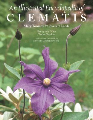An Illustrated Encyclopedia of Clematis (hftad)