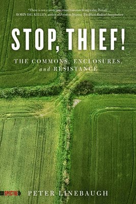 Stop, Thief! (inbunden)