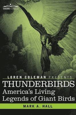 Thunderbirds (häftad)