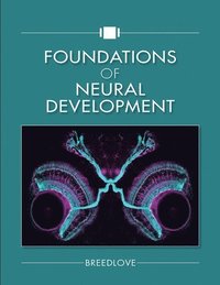 Foundations of Neural Development (inbunden)