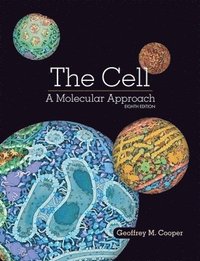 The Cell: A Molecular Approach (inbunden)