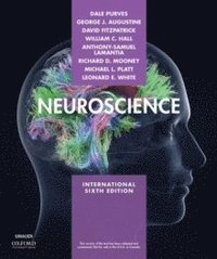 Neuroscience (häftad)