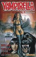 Vampirella Masters Series Volume 7: Pantha (hftad)