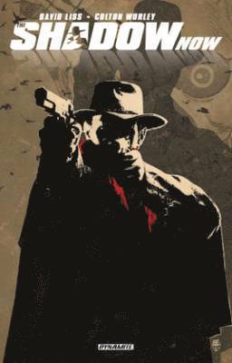 Shadow Now (inbunden)
