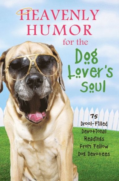 Heavenly Humor for the Dog Lover's Soul (häftad)