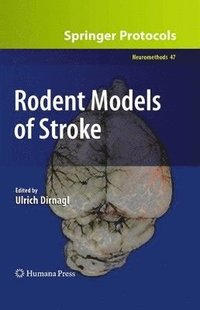 Rodent Models of Stroke (inbunden)