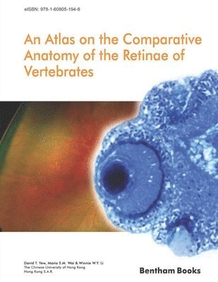 Atlas on the Comparative Anatomy of the Retinae of Vertebrates (hftad)