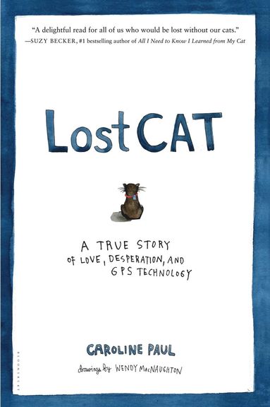Lost Cat (häftad)