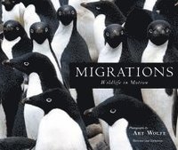 Migrations (inbunden)