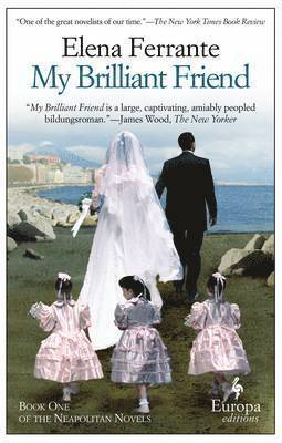 My Brilliant Friend (hftad)