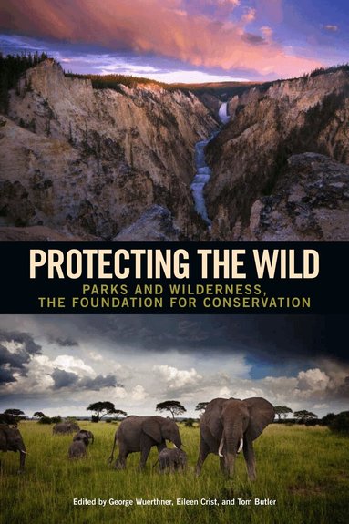 Protecting the Wild (inbunden)