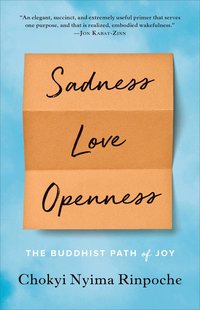 Sadness, Love, Openness (hftad)