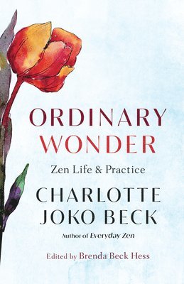 Ordinary Wonder (inbunden)