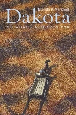Dakota, or What's a Heaven for (hftad)
