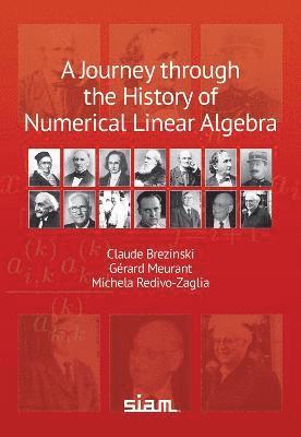Journey Through the History of Numerical Linear Algebra (häftad)