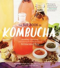 The Big Book of Kombucha (hftad)
