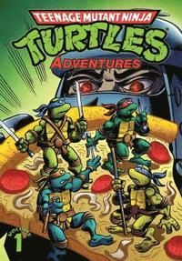 Teenage Mutant Ninja Turtles Adventures Volume 1 (hftad)