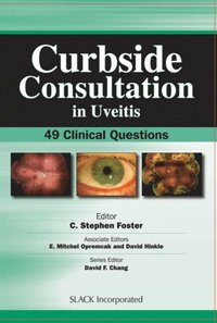 Curbside Consultation in Uveitis (e-bok)