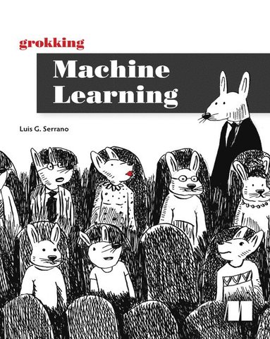Grokking Machine Learning (häftad)