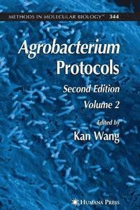 Agrobacterium Protocols (hftad)