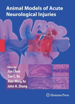Animal Models of Acute Neurological Injuries (hftad)