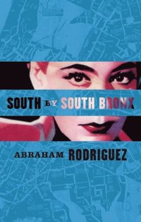 South by South Bronx (e-bok)