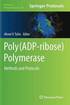Poly(ADP-ribose) Polymerase