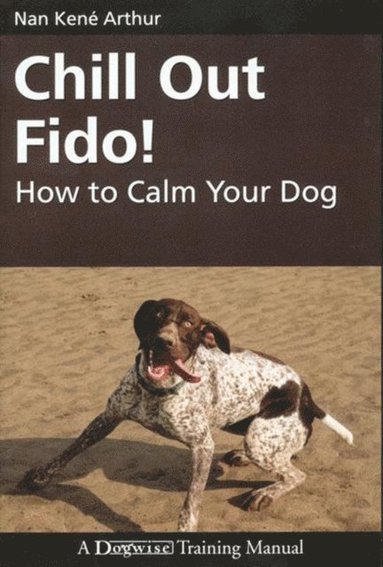 CHILL OUT FIDO! (inbunden)