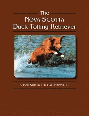 The Nova Scotia Duck Tolling Retriever (inbunden)