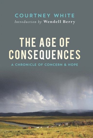 Age of Consequences (häftad)