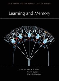 Learning and Memory (inbunden)