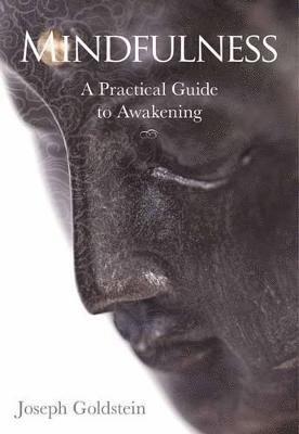 Mindfulness (inbunden)