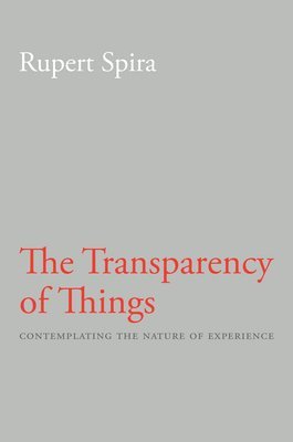 Transparency of Things (häftad)