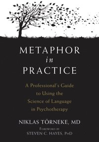 Metaphor in Practice (e-bok)