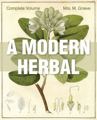 Modern Herbal (häftad)