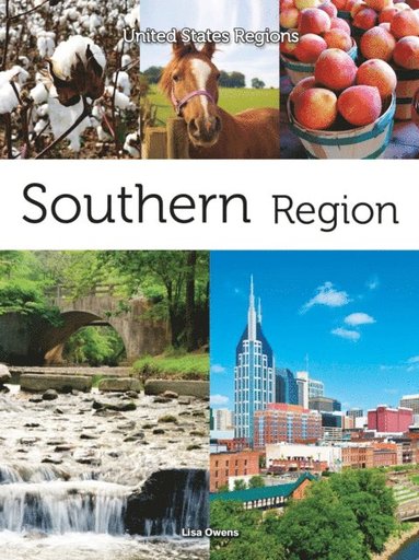 Southern Region (e-bok)