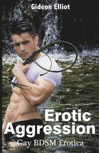 Erotic Aggression: Gay BDSM Erotica (häftad)