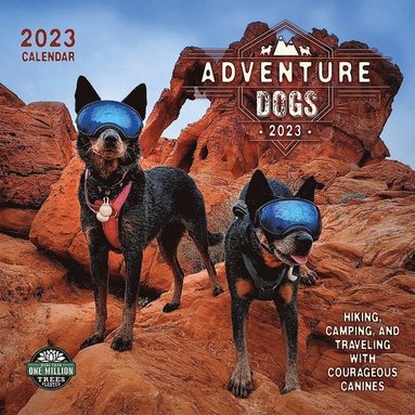 ADVENTURE DOGS 2023 WALL CALENDAR (inbunden)