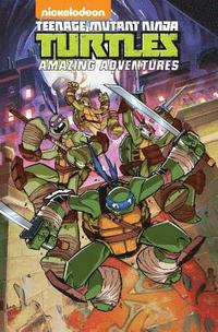 Teenage Mutant Ninja Turtles: Amazing Adventures Volume 1 (hftad)