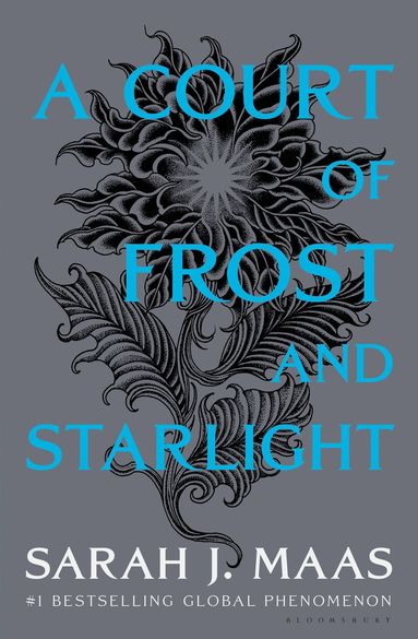 Court of Frost and Starlight (h�ftad)